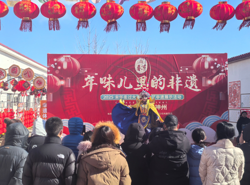微信截图_20250205085520