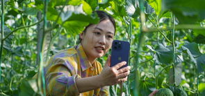 山东莘县：瓜果飘香产业兴