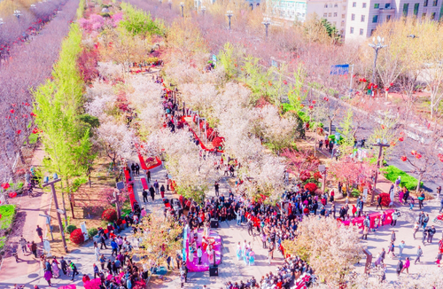 微信截图_20250402160338