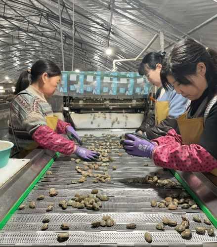 微信图片_20250409153107
