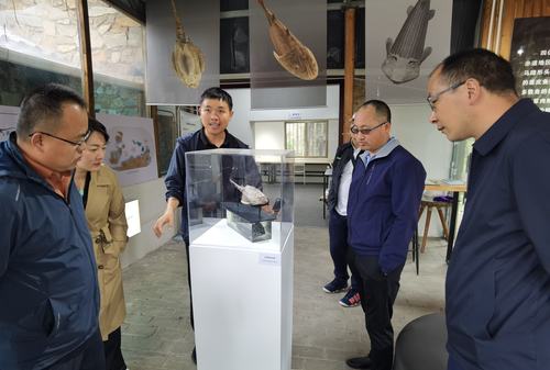 （地方政协）助力打造珠江源文旅名片(7253488)-20250520101609