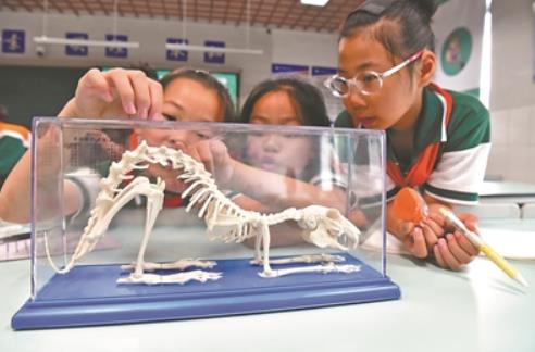 学习科普知识 了解生物多样性