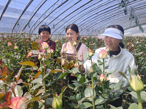 （地方政协）“商”出服务力量  “商”出(7298170)-20250526094841