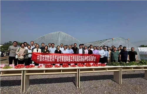 微信截图_20250611090618