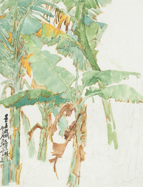 图片47