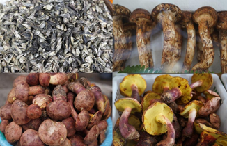 云南昆明：野生菌大量上市