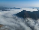 一瓶水的振兴路：陇山十九泉带动甘肃康县生态富民