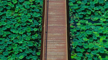 image6
