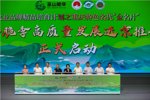 微信图片_20250714111450