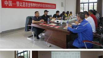 以标准规则“软联通”促进中非人民“心联通”  