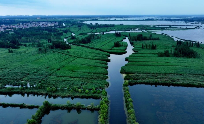 雄安新区：夏日风景正当时