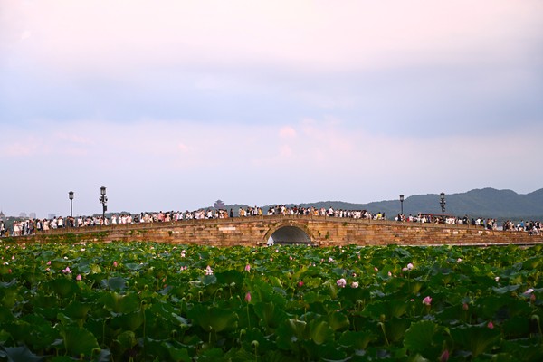 活力中国调研行|杭州西湖游人多(4)(7879397)-20250804161506 活力中国调研行|杭州西湖游人多(4)(7879397)-20250804161506