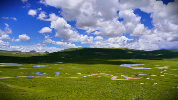 20250805e95784400f5d4e41a559512de6410835_86f7245c48cf4872a9306124edbf66ad 20250805e95784400f5d4e41a559512de6410835_86f7245c48cf4872a9306124edbf66ad