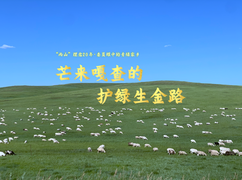微信图片_20250812193245
