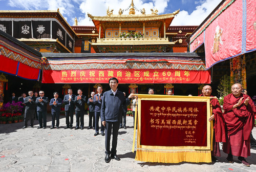 中央代表团在拉萨看望慰问各族干部群众 王(8020145)-20250822054127
