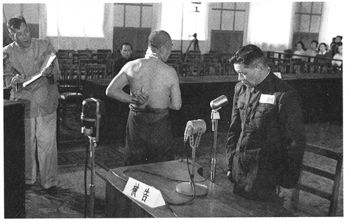 6.照：1956年7月7日上午，法庭调查(8005281)-20250825102510