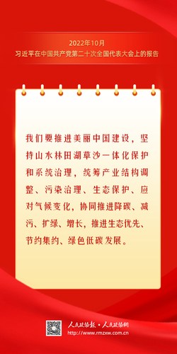 金句9