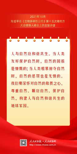 金句17