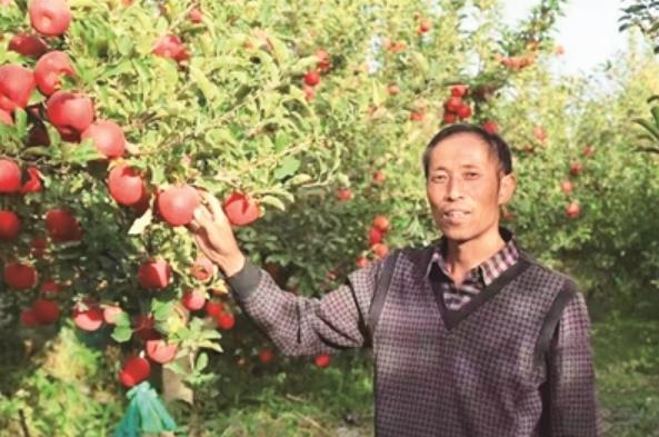砥砺奋进七十载 天山南北谱华章 | “柯柯牙精神”在新时代结硕果