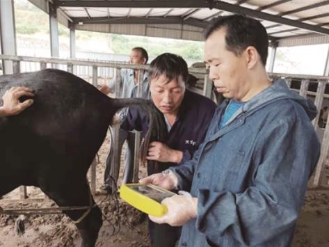 360截图20250922090733457