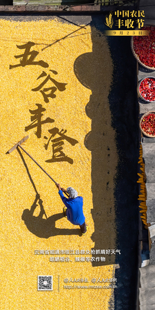 2025海报-丰收节2