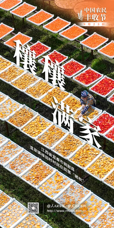 2025海报-丰收节3