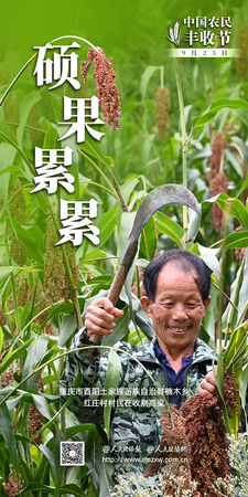 2025海报-丰收节4