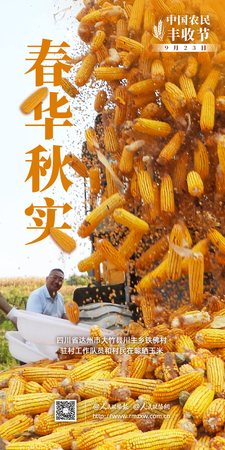 2025海报-丰收节6