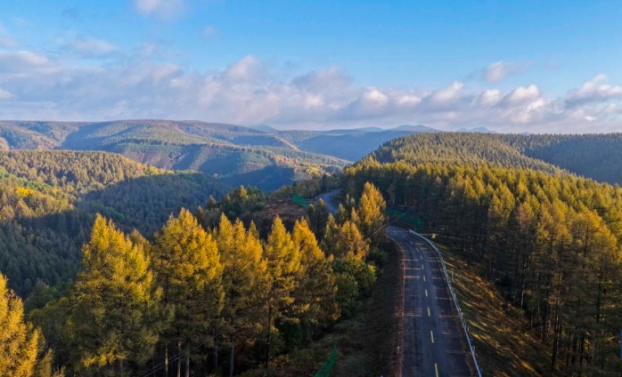 秋晨塞罕坝 风景美如画