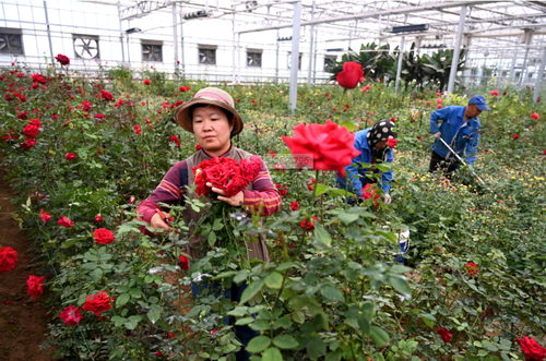 wechat_2025-10-10_155705_486