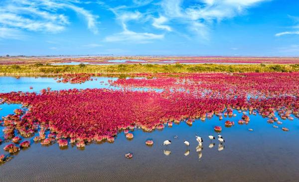 20251012f4e1330c91d44a68ac38aab8979816b8_bd1438a618804e38ae0971680354f7e4 20251012f4e1330c91d44a68ac38aab8979816b8_bd1438a618804e38ae0971680354f7e4