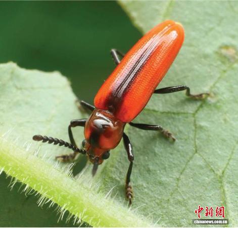 ca333220-dcba-4f47-b700-7355deec7fac_zsite ca333220-dcba-4f47-b700-7355deec7fac_zsite