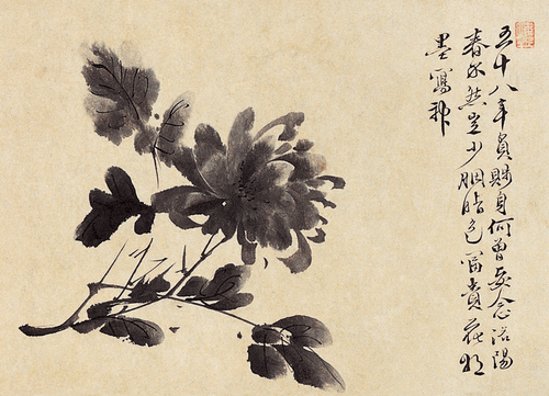 p1-120-205
