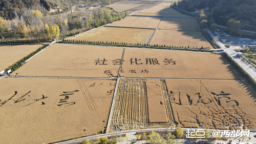 befd7868b981e7989c4ad544121857c1 befd7868b981e7989c4ad544121857c1