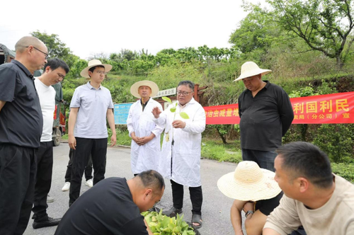 wechat_2025-10-17_134403_887 wechat_2025-10-17_134403_887