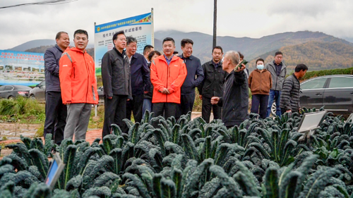 wechat_2025-10-20_094639_710 wechat_2025-10-20_094639_710