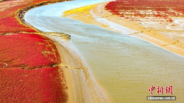 44e5c7ca6a6f446baf027301098798ad