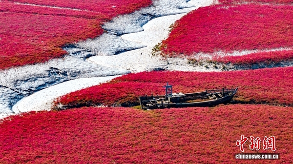 09e0a0a202804d57859eab94ac3207ae