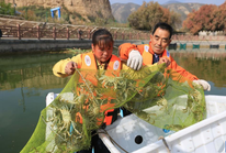 黄土高原大闸蟹丰收