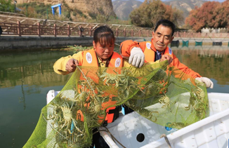 黄土高原大闸蟹丰收