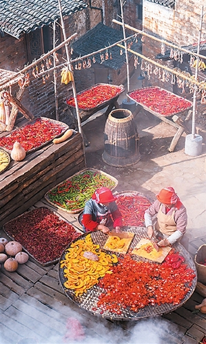 c6918afd-e612-4970-b616-9d075de18c6a