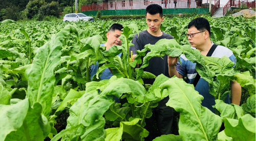 ScreenShot_2025-11-11_153529_346