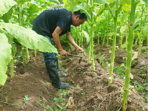 ScreenShot_2025-11-11_153515_828