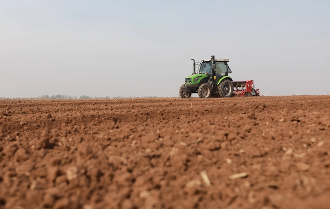 全国冬小麦播种过八成 各地抢抓农时推进秋冬种
