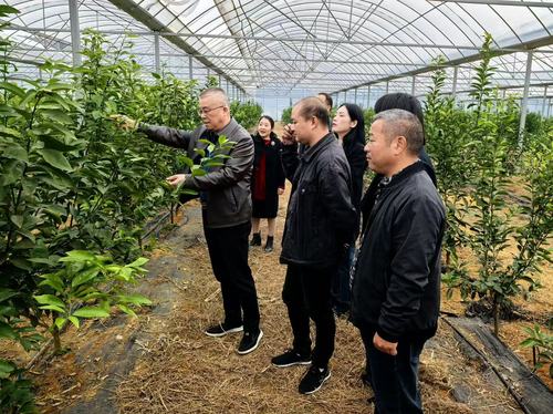 GetAttachment (5) GetAttachment (5)