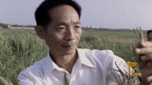 3c1b6f6d11b3482d9425ce09b86f05be 3c1b6f6d11b3482d9425ce09b86f05be