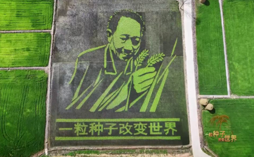 e84c0cfe165849338225d69aec51e189 e84c0cfe165849338225d69aec51e189