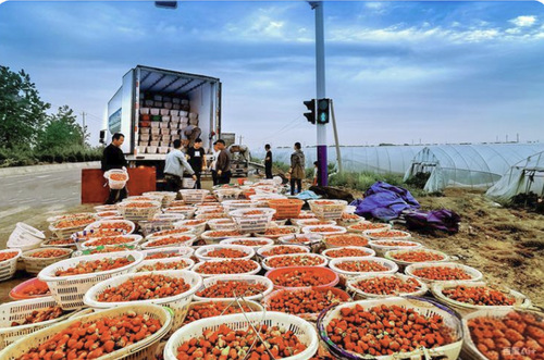 11月25号国是·乡村振兴配图(8737492)-20251125145331