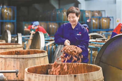 余留芬在酒业生产车间铺撒高粱，查看发酵情况。