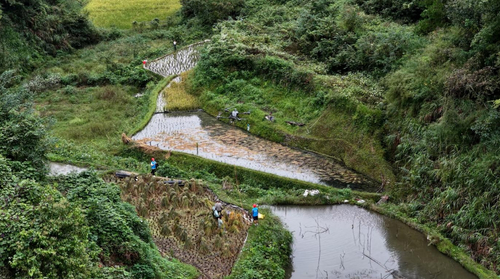 微信截图_20251127090213